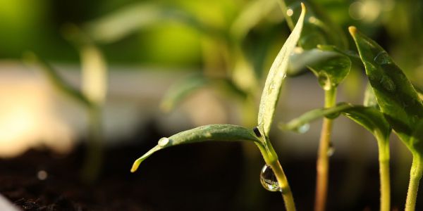 Aktualizace nabídky